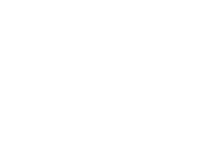 Aer Lingus